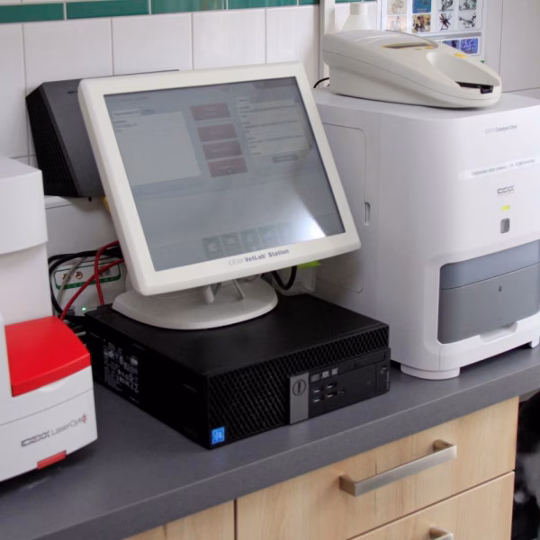 Laboratory