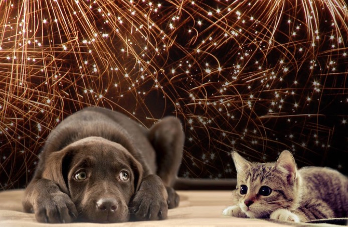 Tips for fireworks anxiety